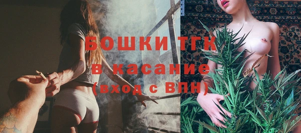 ешки Новодвинск
