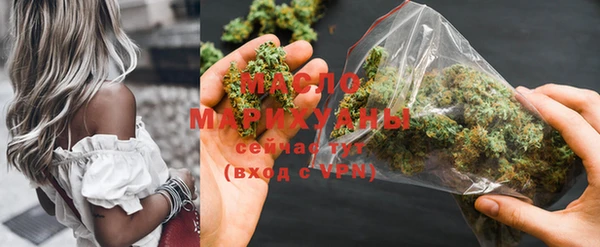 ешки Новодвинск