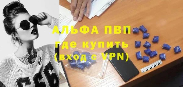 ешки Новодвинск